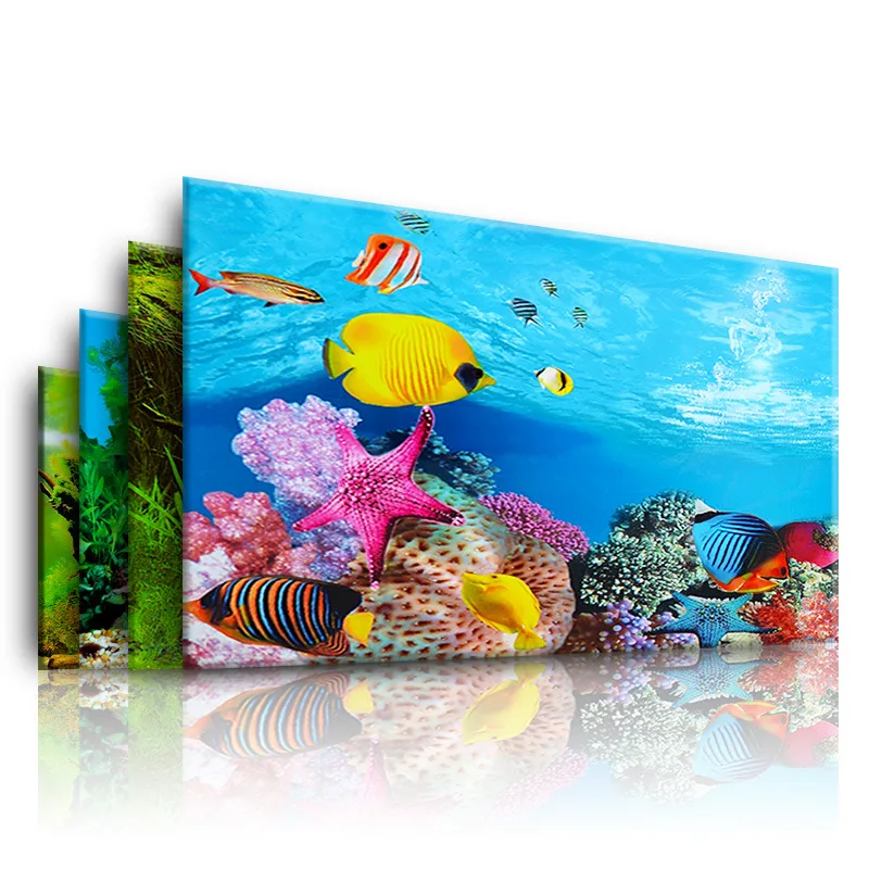 Marine Aquarium For Sale - Tło do akwarium 3d naklejka plakat