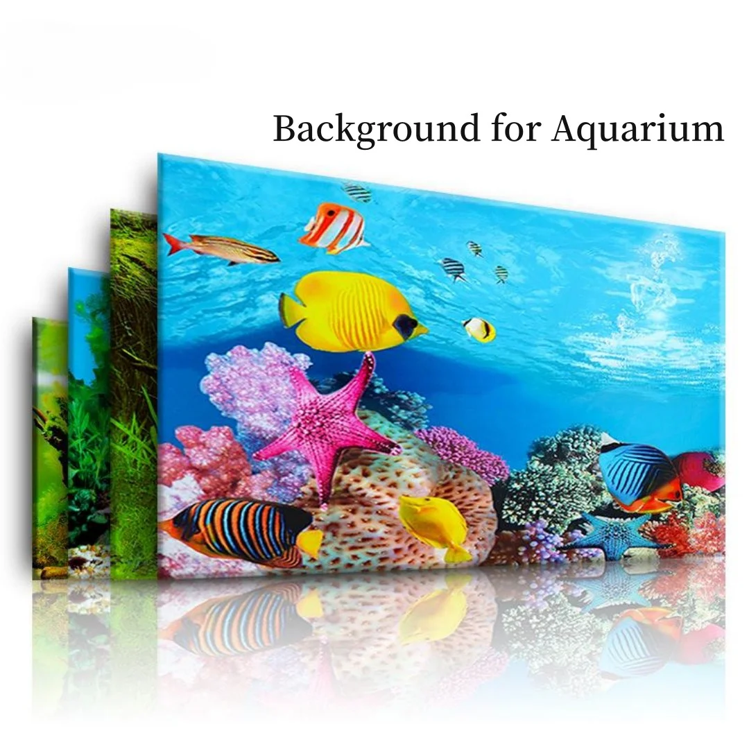 Marine Aquarium For Sale - Tło Akwarium 3D Naklejka Plakat Dekoracja