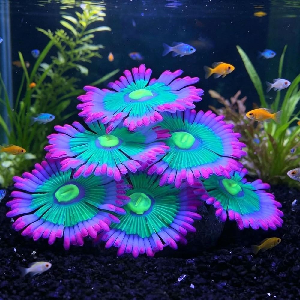 Marine Aquarium For Sale - Świecące, miękkie dekoracje do akwarium, silikonowe,