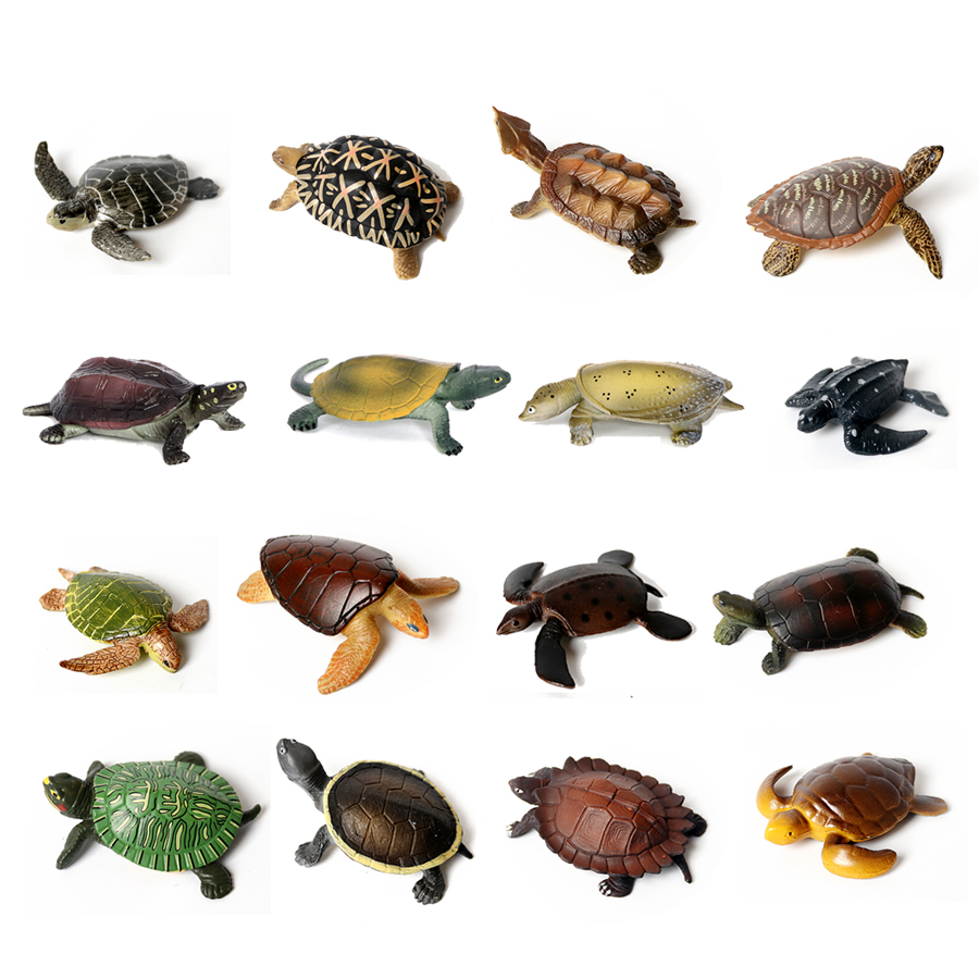 Marine Aquarium & Regional Centre Photos - Realistyczne miniatury życie morskie żółwiem morskim