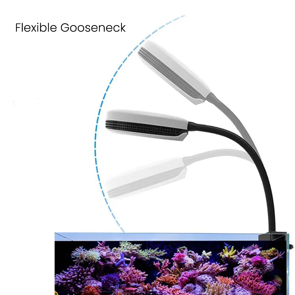 Lampa LED do akwarium Spectra  – Aquarium Marine Light recenzja i cena
