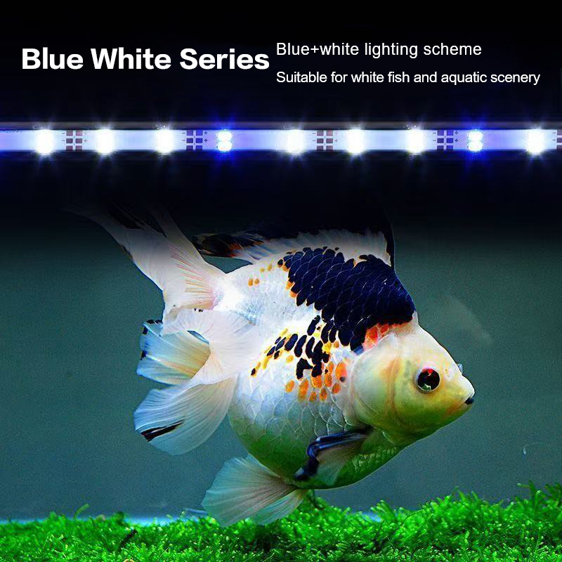 Lampa akwariowa LED z wtyczką  – Aquarium Marine Light recenzja i cena