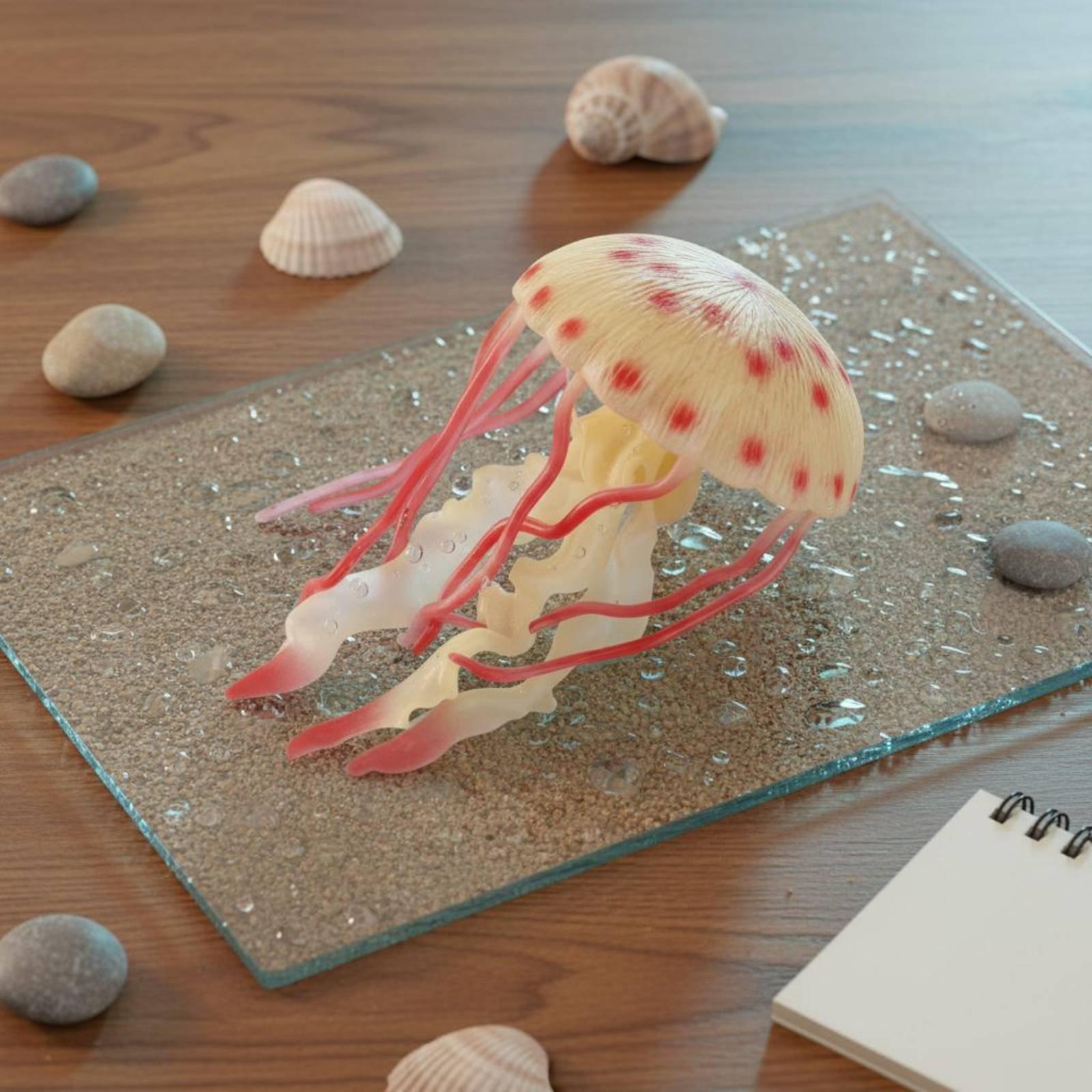 Figurka Kraba Realistyczny Pla – Marine Aquarium & Regional Centre Photos recenzja i cena