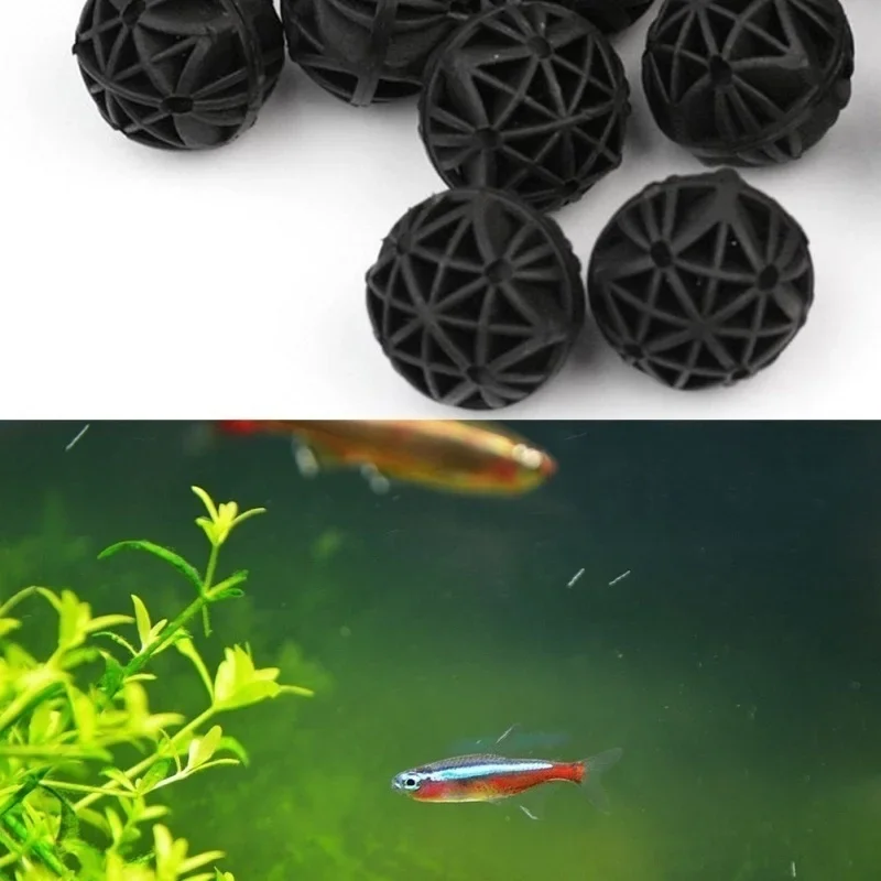20 szt. 16mm Filtry Bio Balls  – Marine Aquarium & Regional Centre Photos recenzja i cena